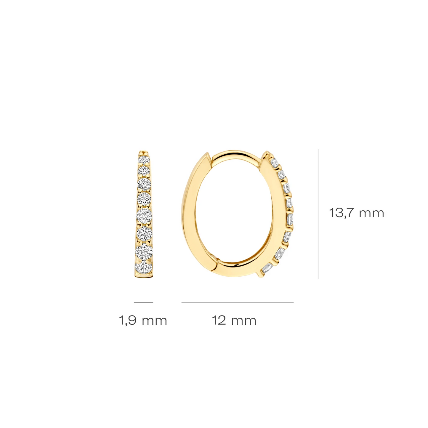 Blush Oorringen 7341YZI - Geelgoud (14k) met Zirkonia