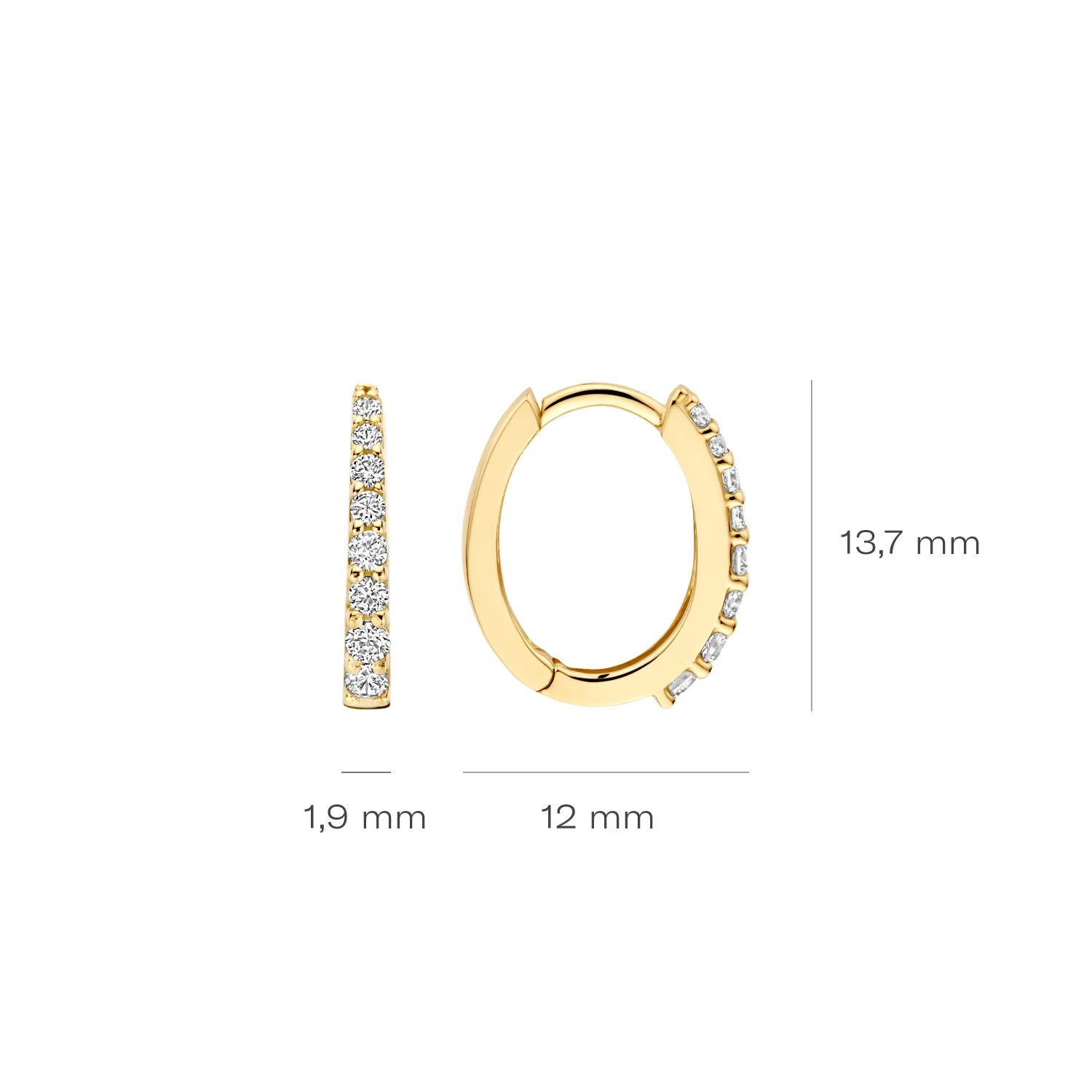 Blush Oorringen 7341YZI - Geelgoud (14k) met Zirkonia