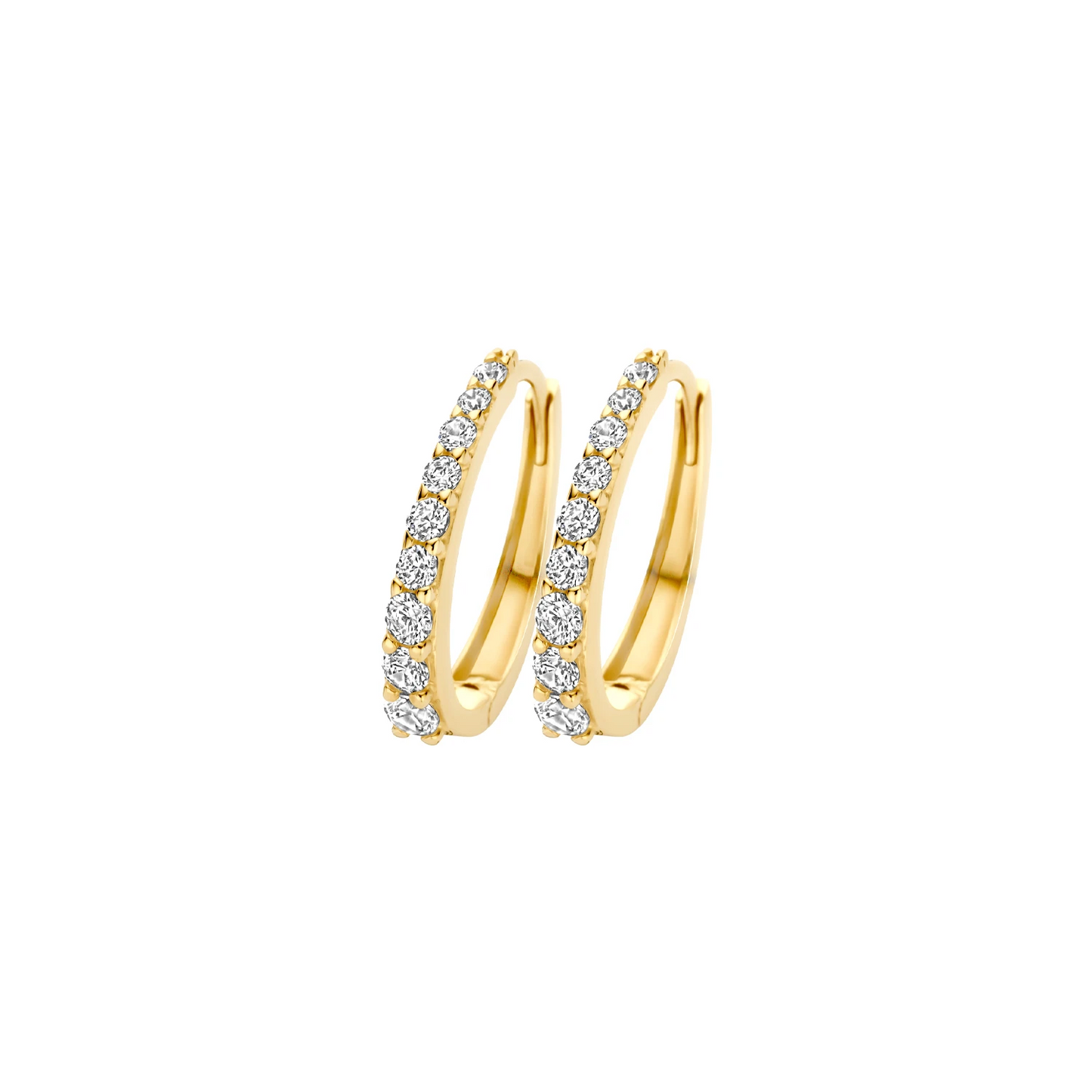 Blush Oorringen 7342YZI - Geelgoud (14k) met Zirkonia
