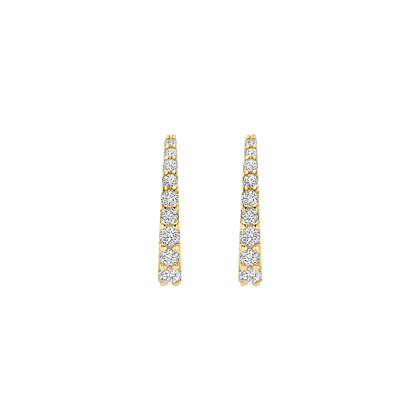 Blush Oorringen 7342YZI - Geelgoud (14k) met Zirkonia