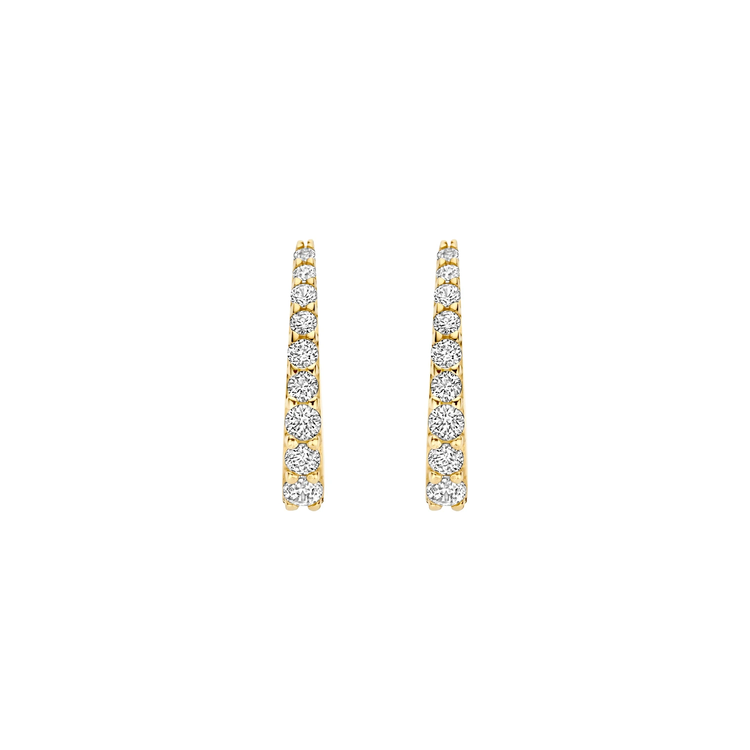 Blush Oorringen 7342YZI - Geelgoud (14k) met Zirkonia