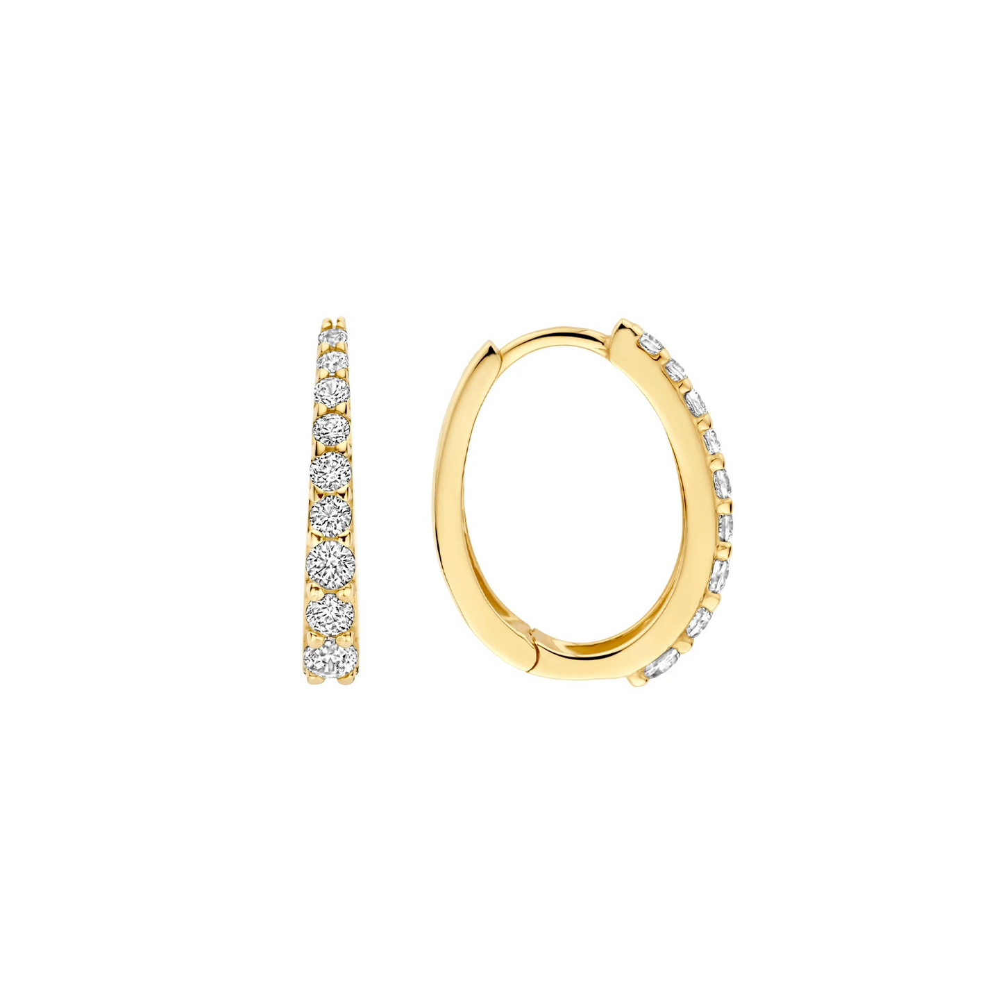 Blush Oorringen 7342YZI - Geelgoud (14k) met Zirkonia