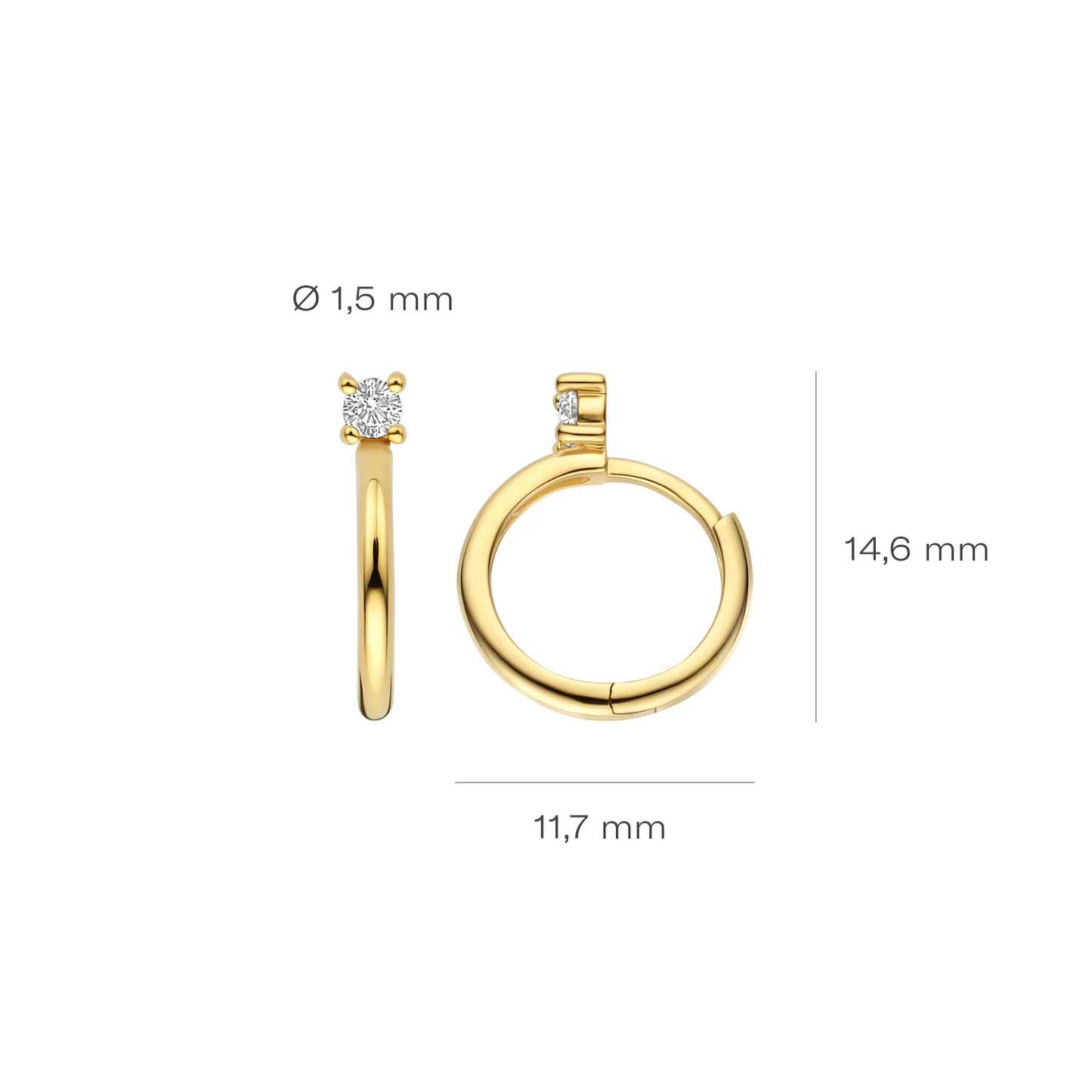 Blush Oorringen 7372YZI - Geelgoud (14k) met Zirconia