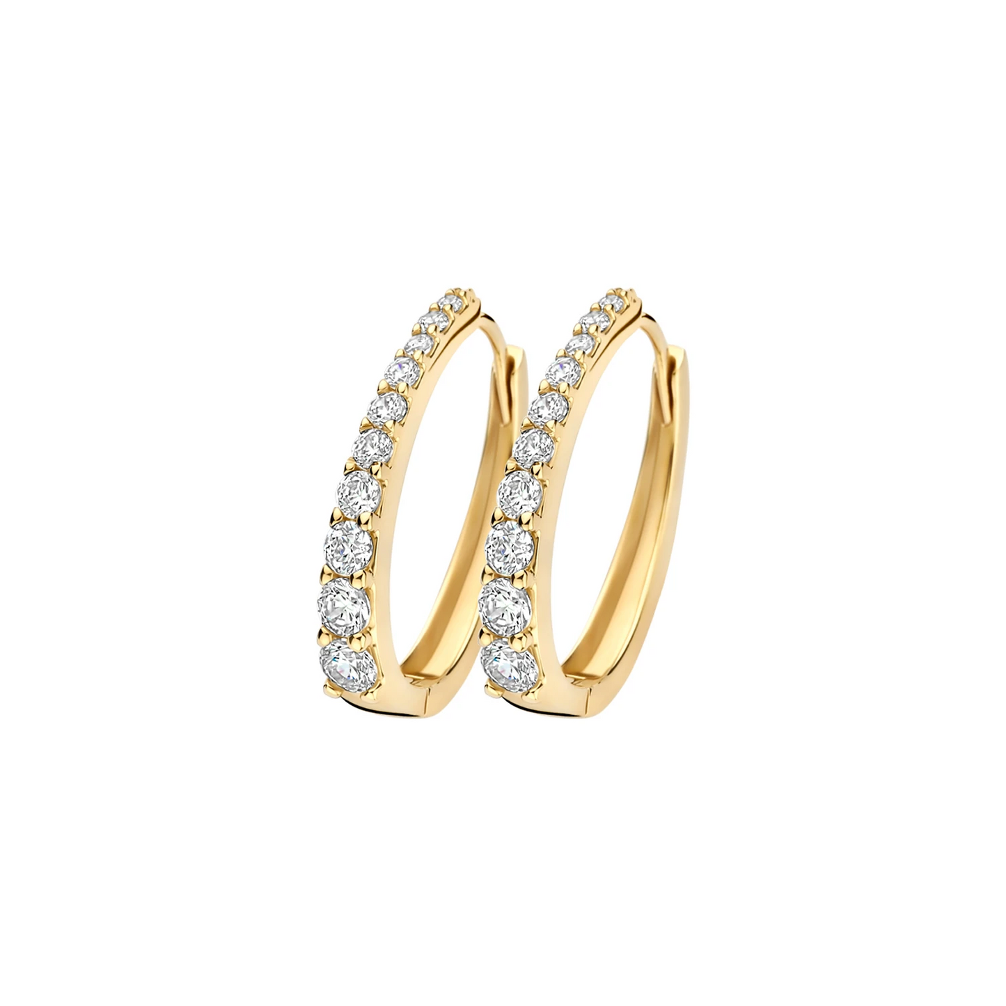 Blush Oorringen 7375YZI - Geelgoud (14k) met Zirconia