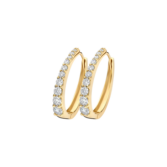 Blush Oorringen 7375YZI - Geelgoud (14k) met Zirconia