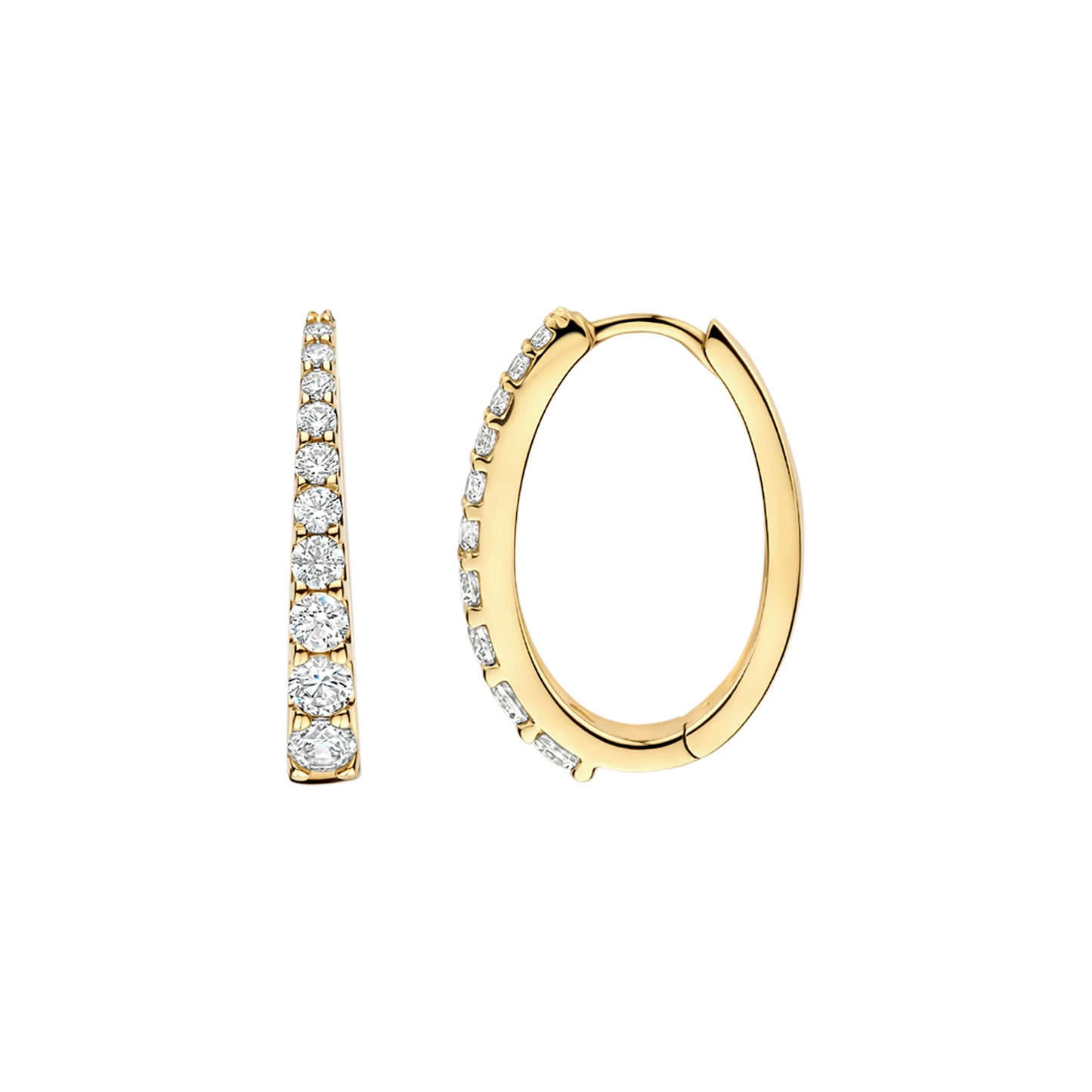 Blush Oorringen 7375YZI - Geelgoud (14k) met Zirconia