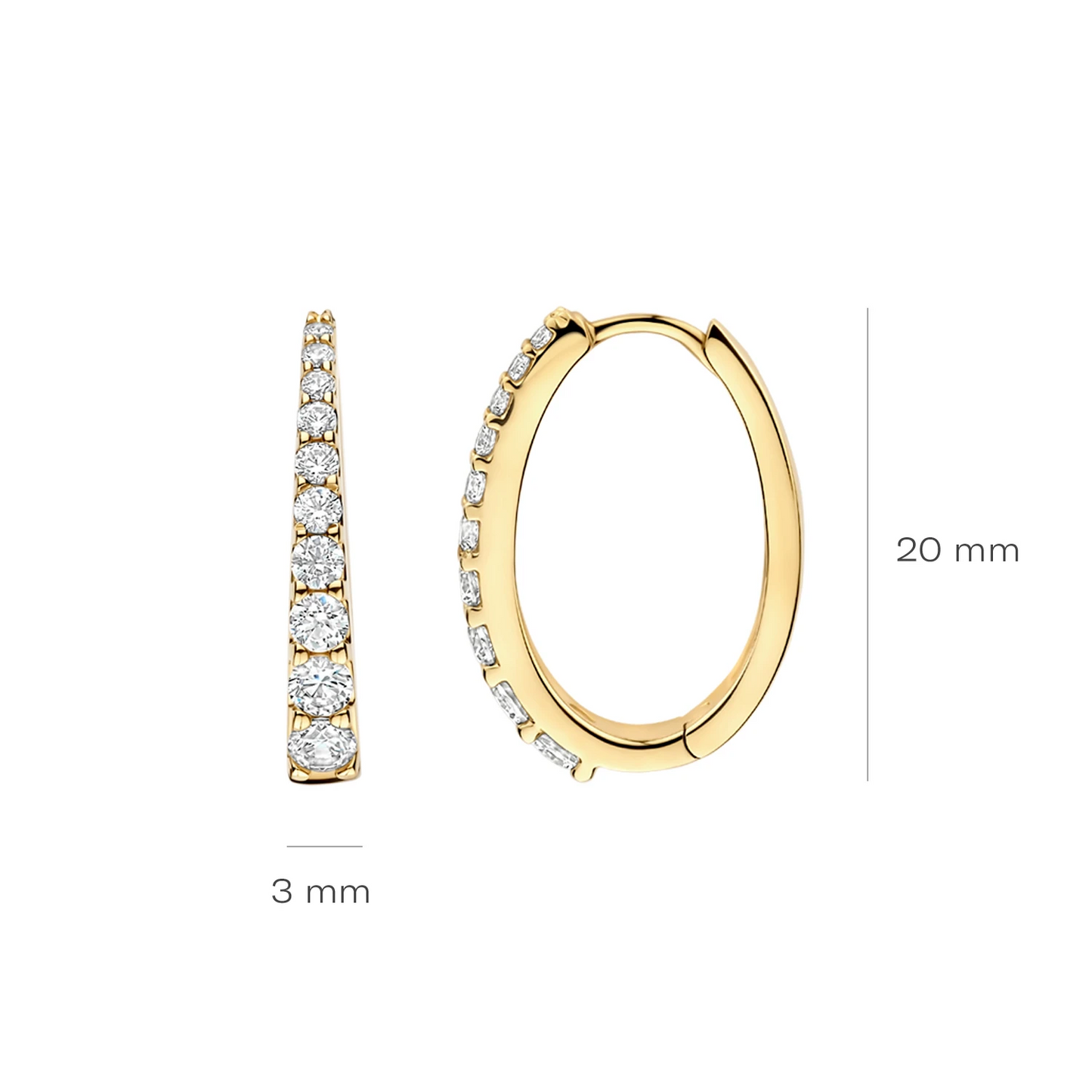 Blush Oorringen 7375YZI - Geelgoud (14k) met Zirconia