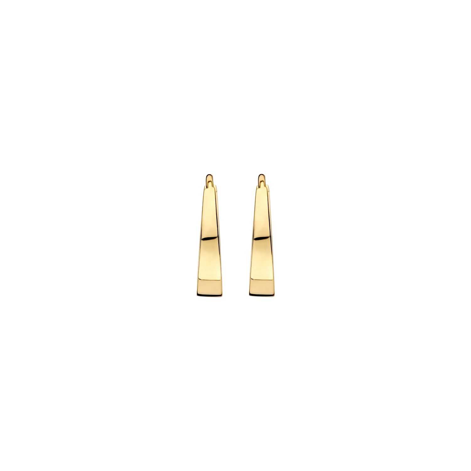 Blush Oorringen 7379YGO - Geelgoud (14k)