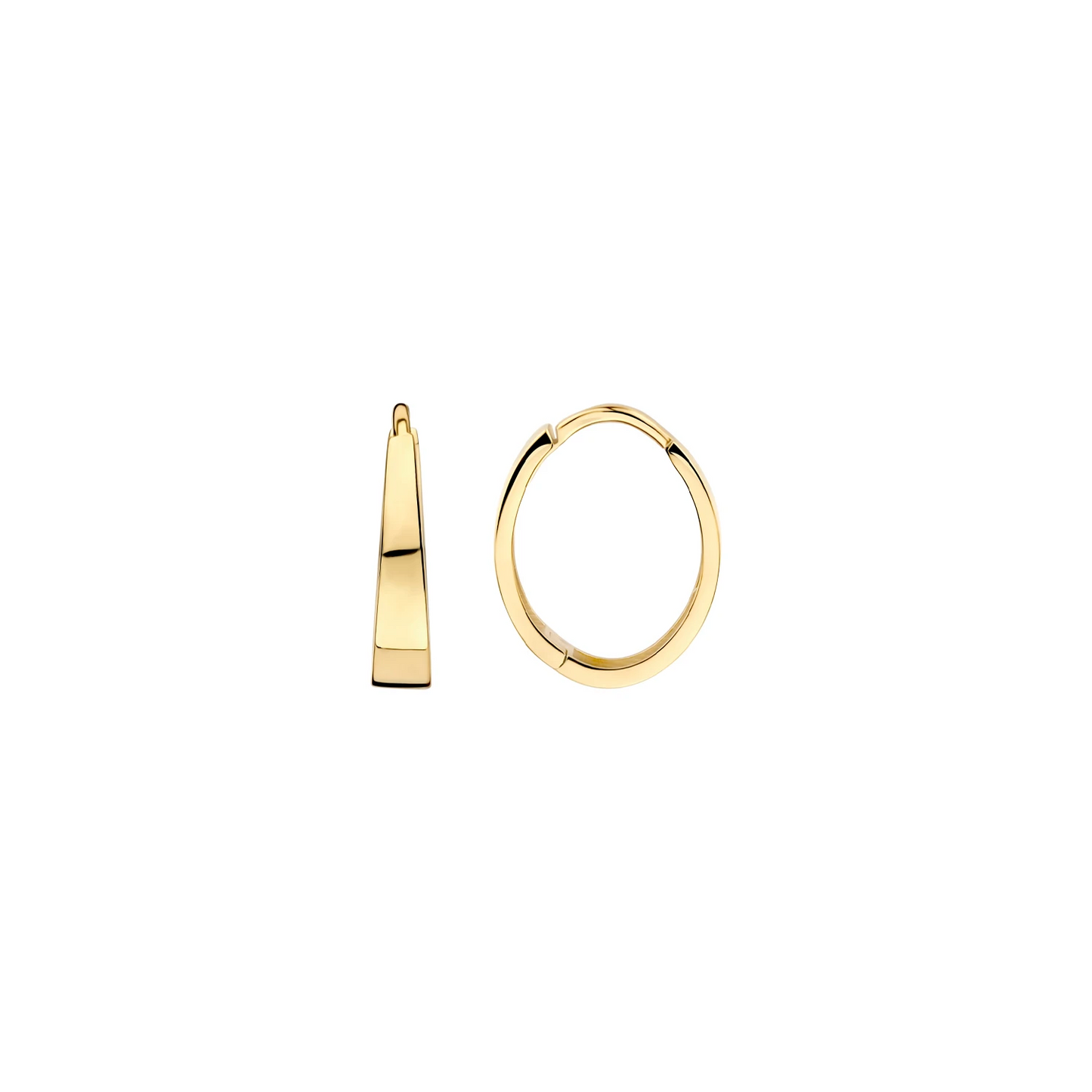 Blush Oorringen 7379YGO - Geelgoud (14k)