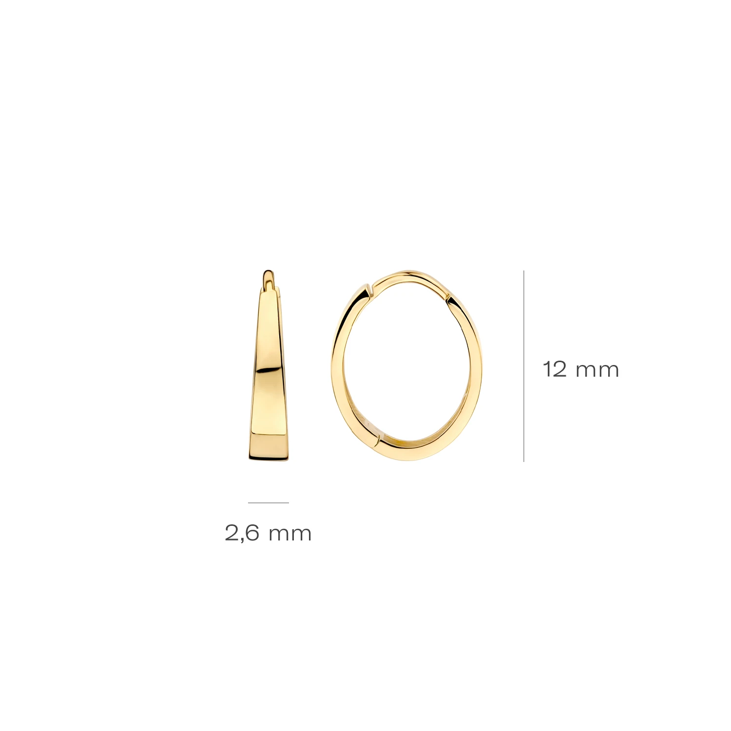 Blush Oorringen 7379YGO - Geelgoud (14k)