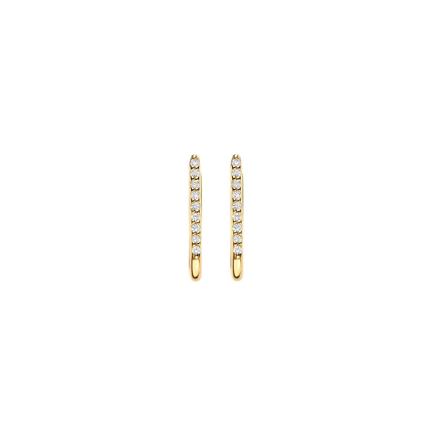 Blush Oorringen 7381YZI - Geelgoud (14k) met Zirconia