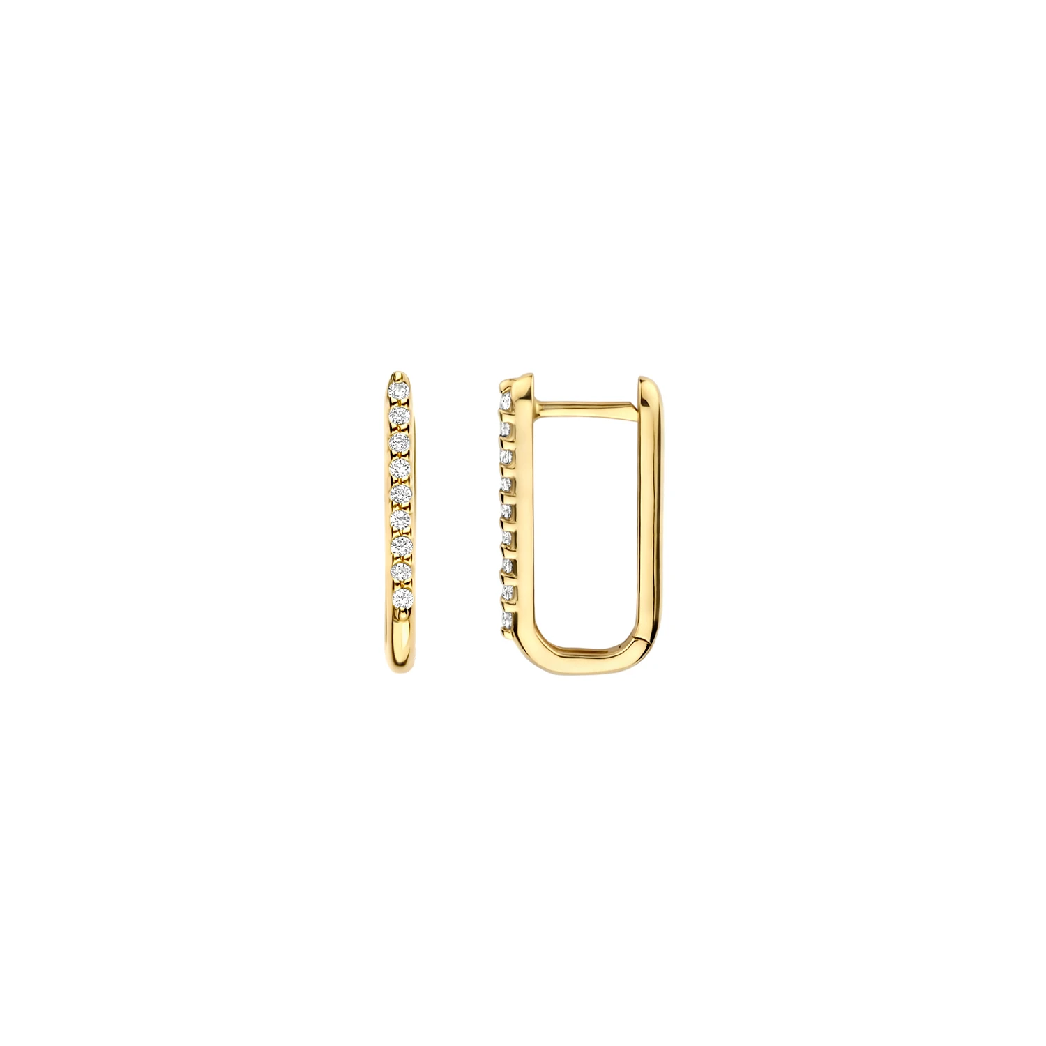Blush Oorringen 7381YZI - Geelgoud (14k) met Zirconia