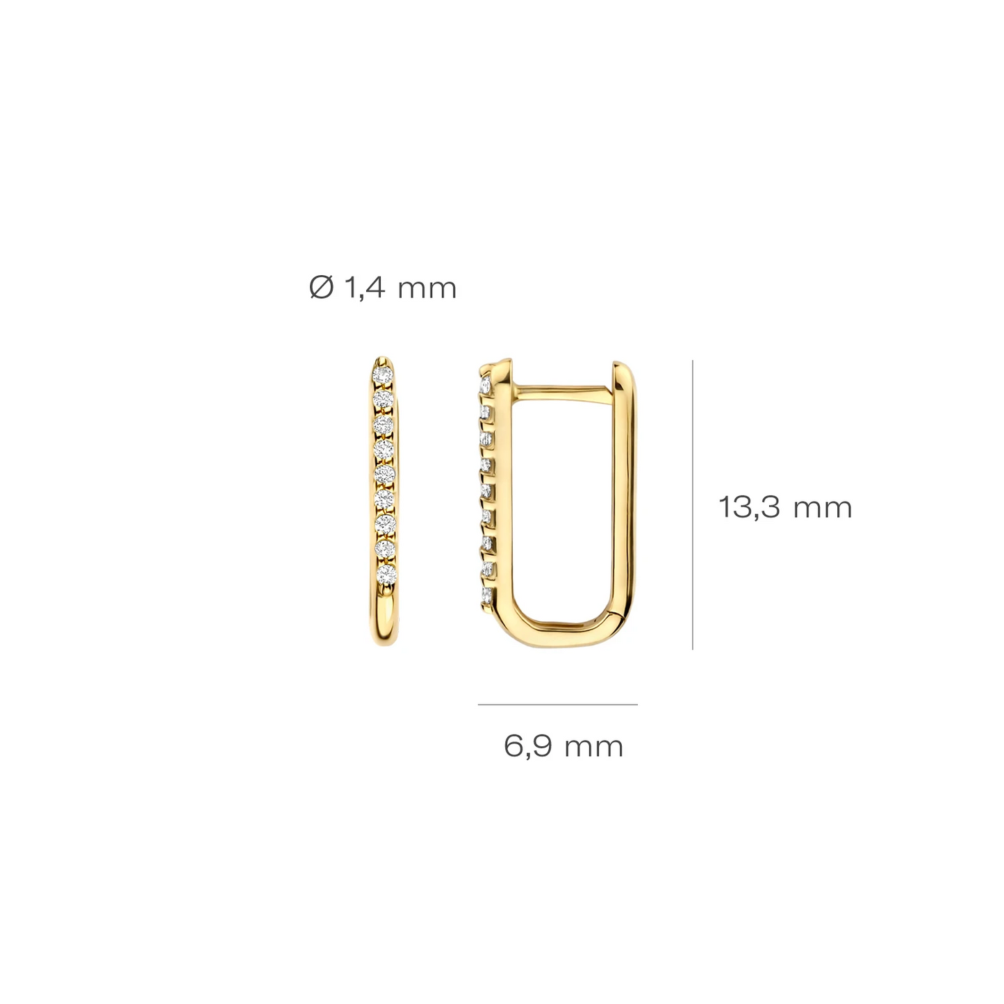 Blush Oorringen 7381YZI - Geelgoud (14k) met Zirconia