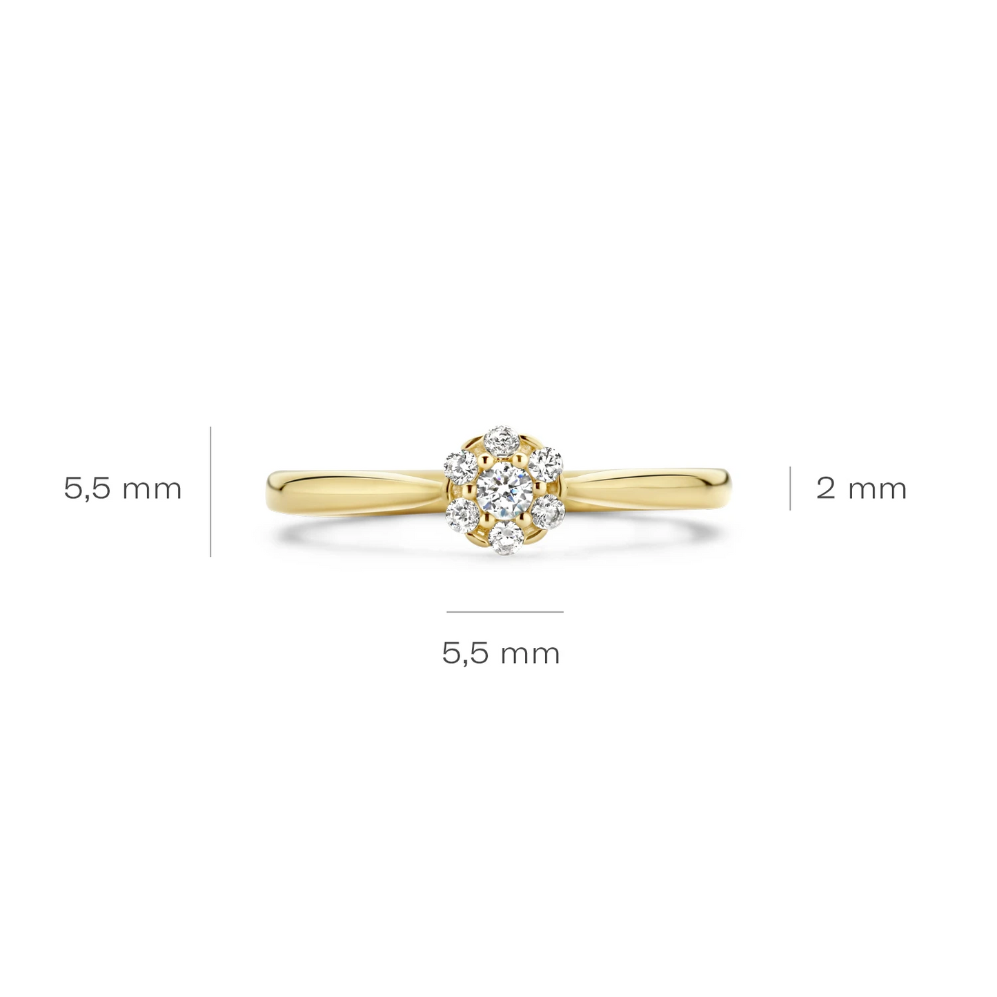 Blush Ring 1248YZI -  Geel Goud (14k) met Zirkonia