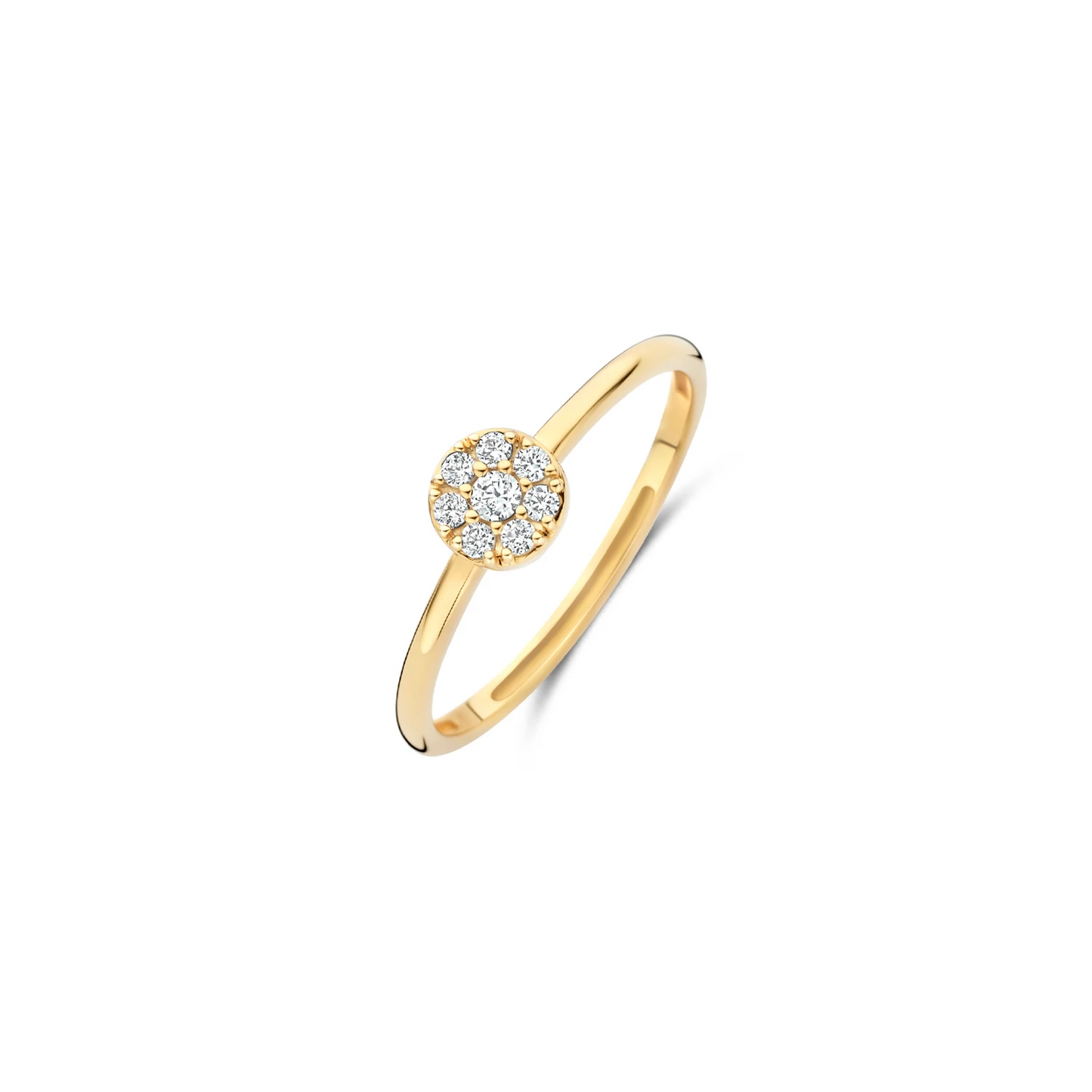 Blush Ring 1277YZI - Geelgoud (14k) met Zirconia