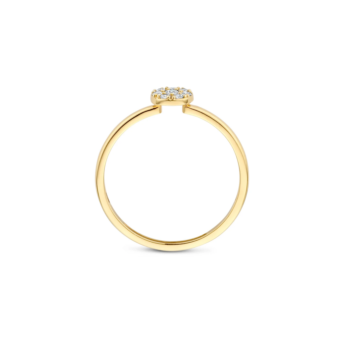 Blush Ring 1277YZI - Geelgoud (14k) met Zirconia