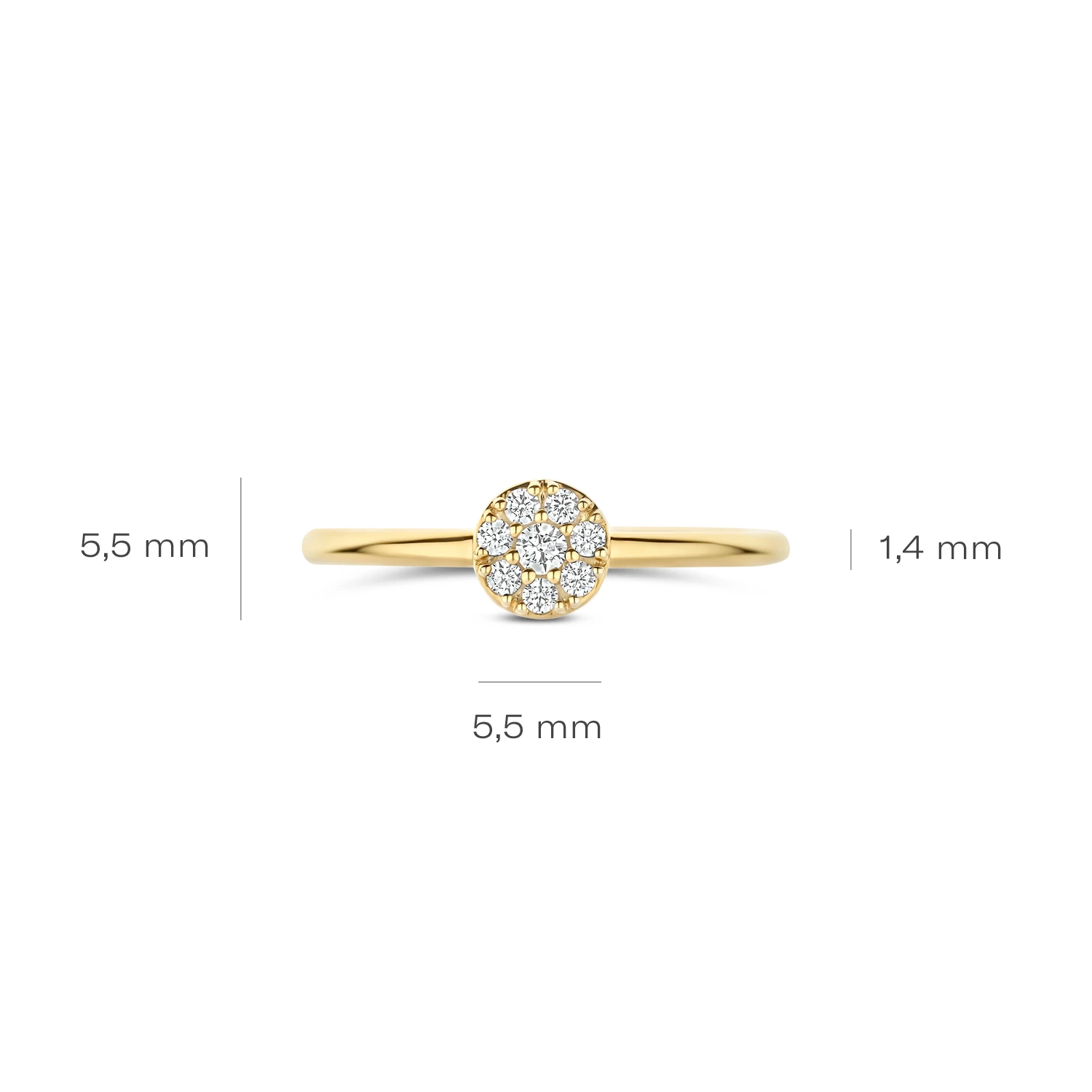 Blush Ring 1277YZI - Geelgoud (14k) met Zirconia