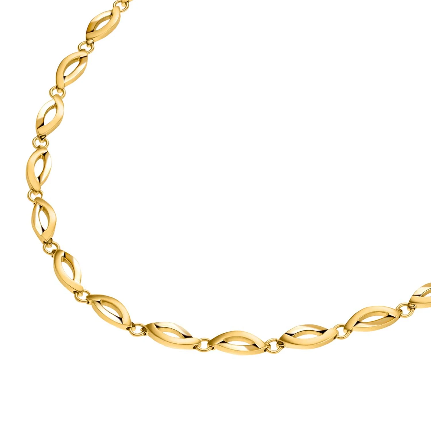 Boccia Collier gp