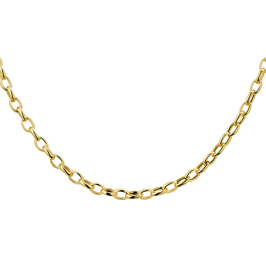 collier anker 3,1 mm 43 cm 14K geelgoud