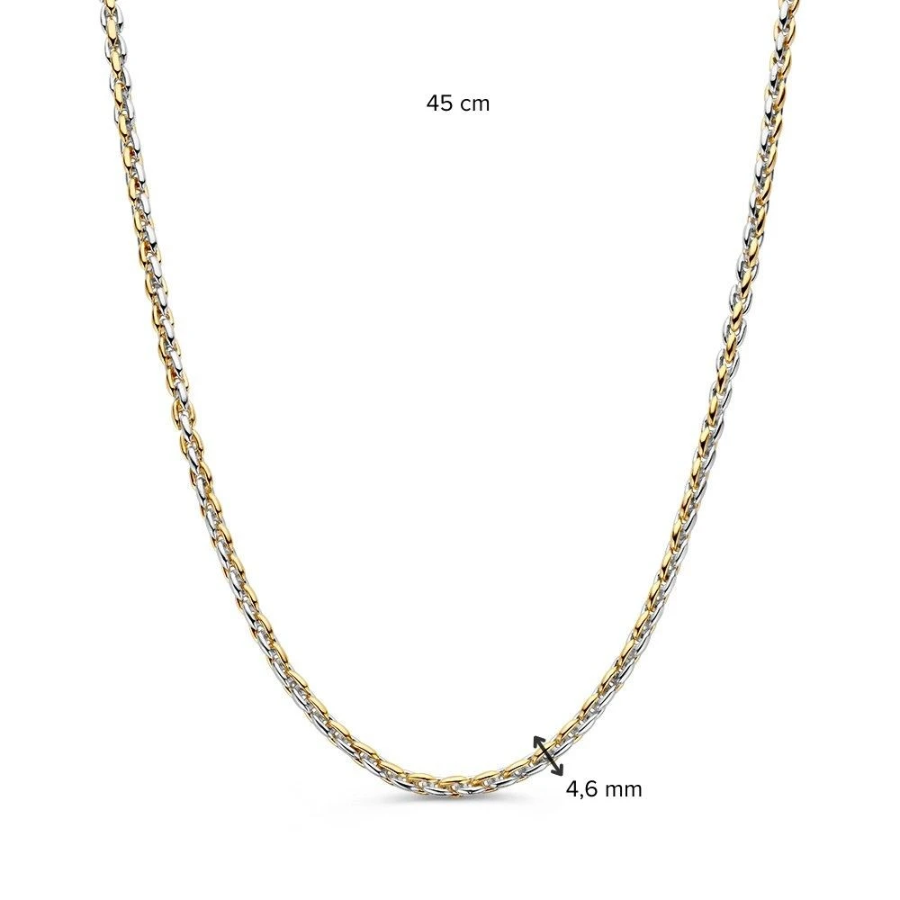 Collier bicolor