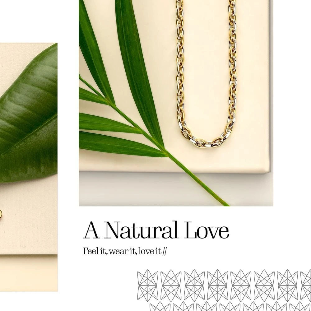 Collier bicolor