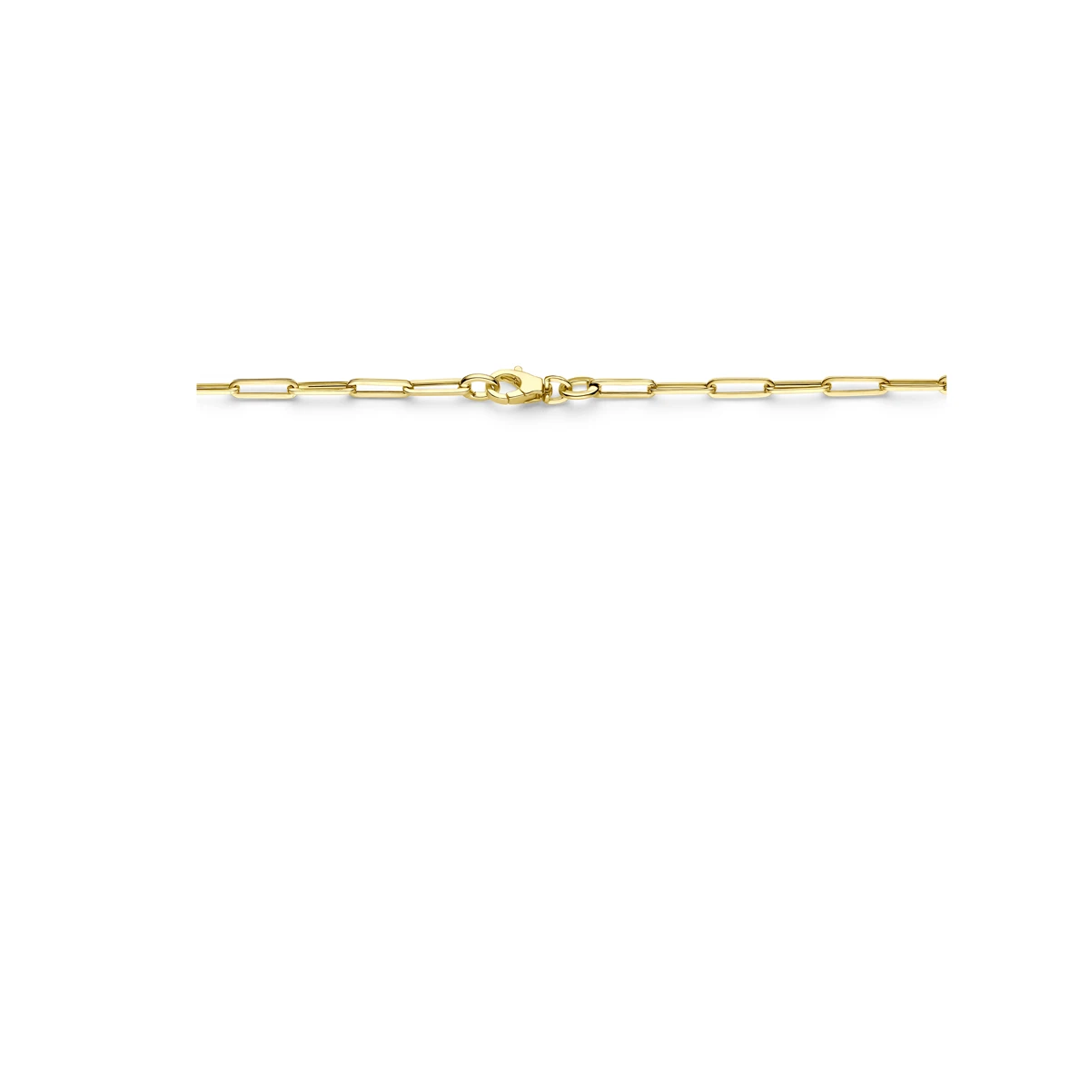 collier paperclip vierkante buis 3,0 mm 14K geelgoud