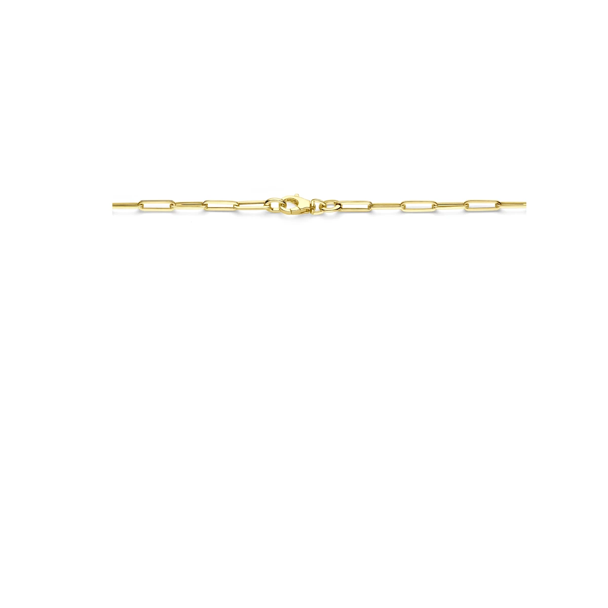 collier paperclip vierkante buis 3,0 mm 14K geelgoud