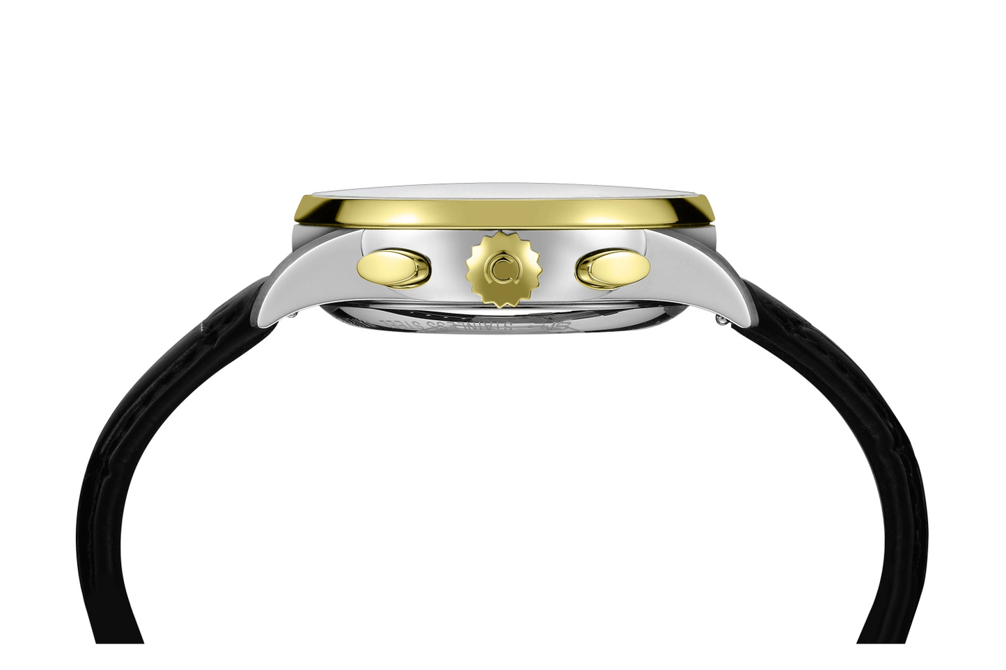 DS-1 Chronograaf — C029.462.26.051.00