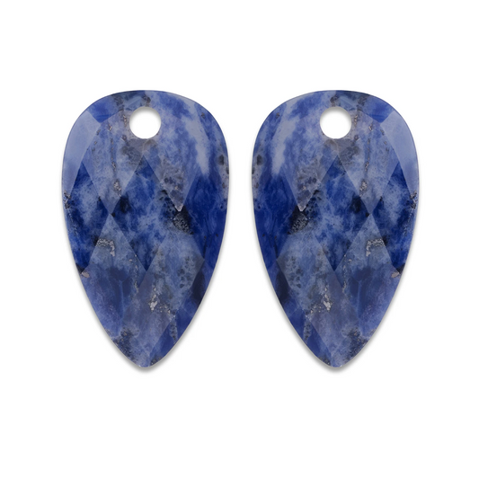 Earstones | Blossom - Sodalite