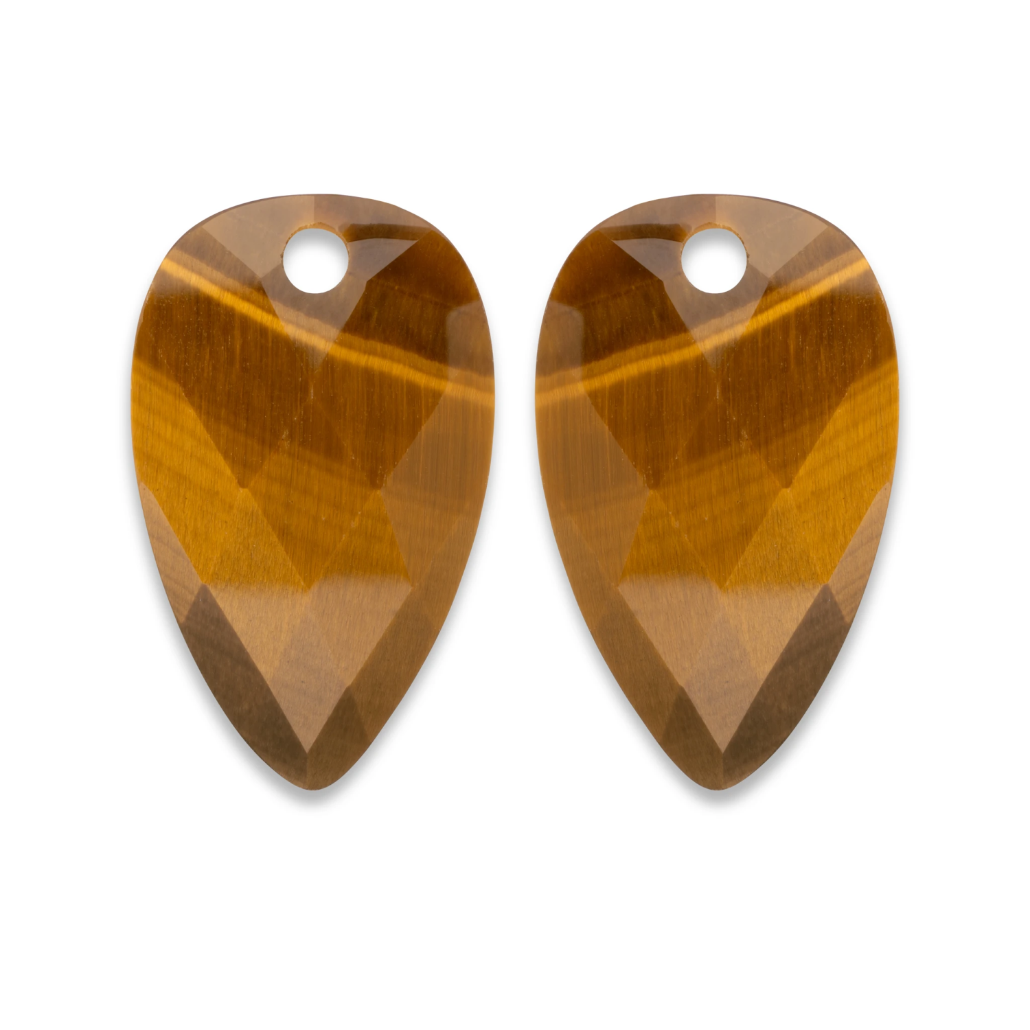 Earstones | Blossom Tiger Eye