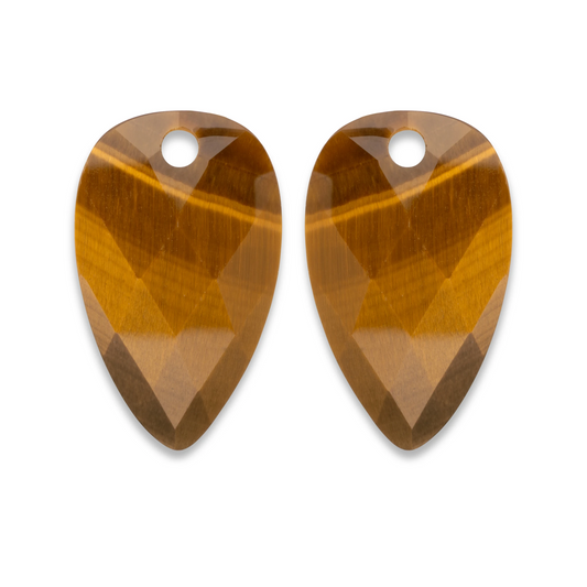Earstones | Blossom Tiger Eye