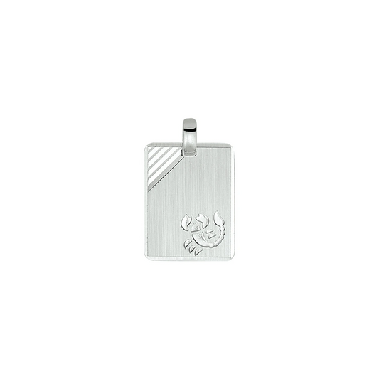 graveerhanger sterrenbeeld gediamanteerd zilver gerhodineerd