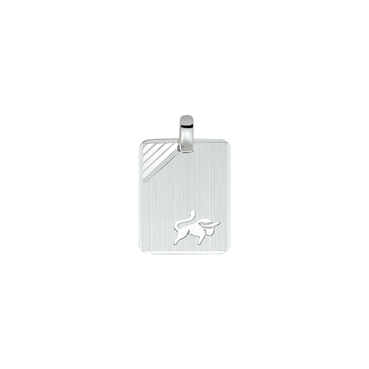 graveerhanger sterrenbeeld gediamanteerd zilver gerhodineerd
