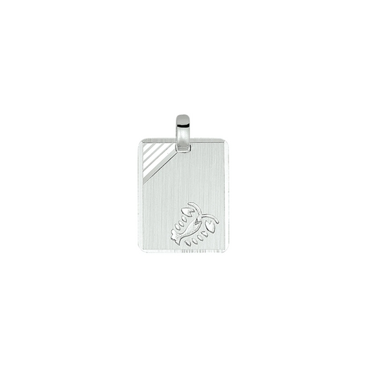 graveerhanger sterrenbeeld gediamanteerd zilver gerhodineerd