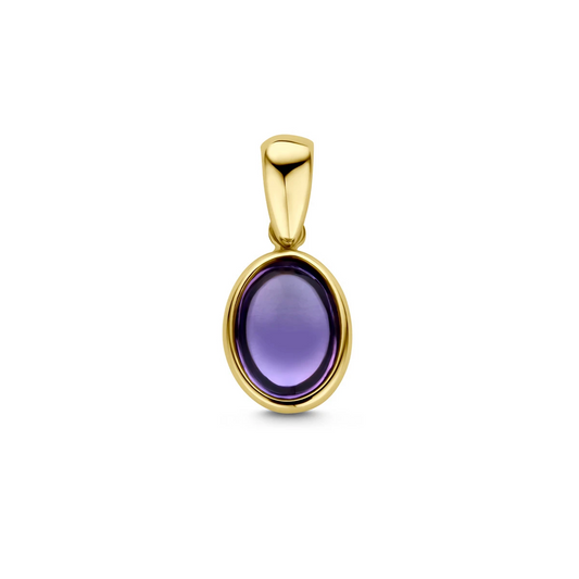 hanger amethist 14K geelgoud