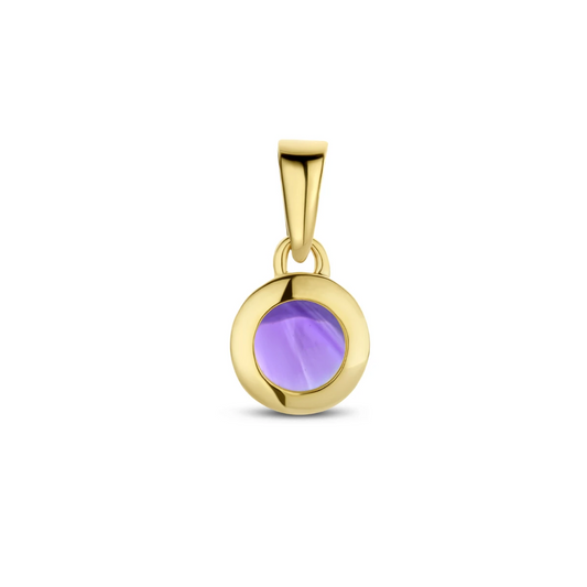 hanger amethist 14K geelgoud