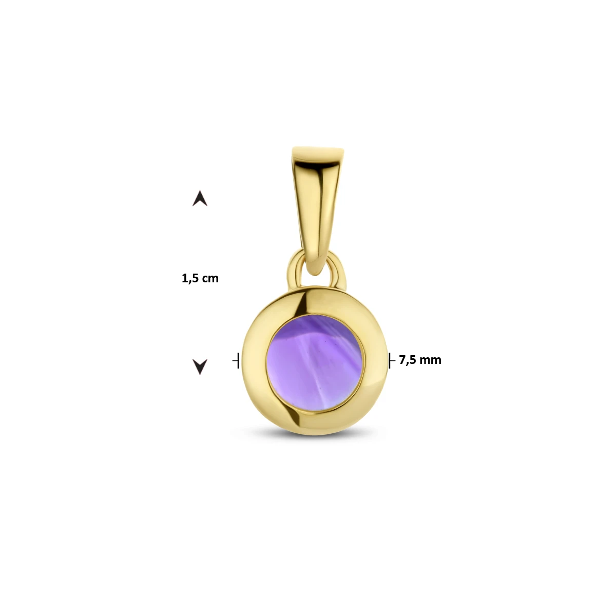 hanger amethist 14K geelgoud