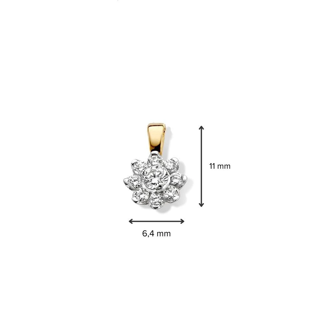 Hanger bicolor briljant 0,21 crt.