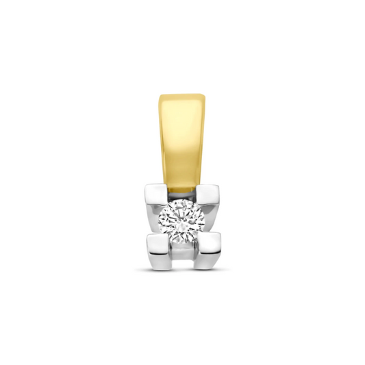 hanger diamant 0.05ct h si 9 mm 14K bicolor goud geel/wit