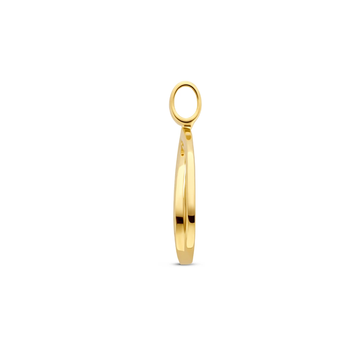 hanger diamant 0.06ct h si 14K geelgoud