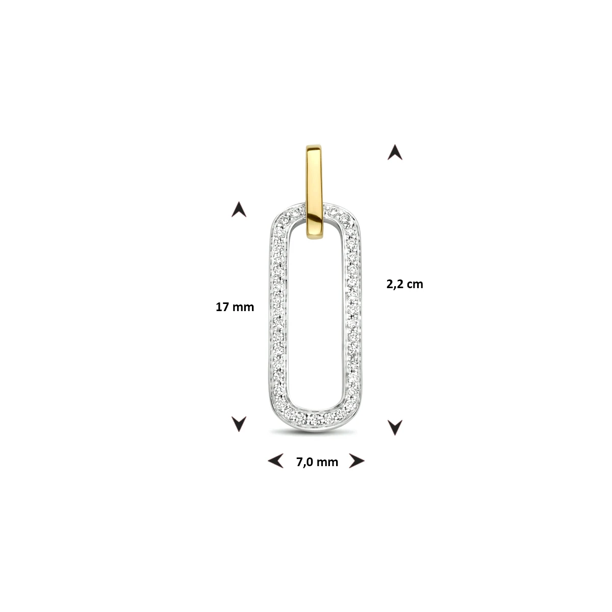 hanger diamant 0.09ct h si 14K bicolor goud geel/wit