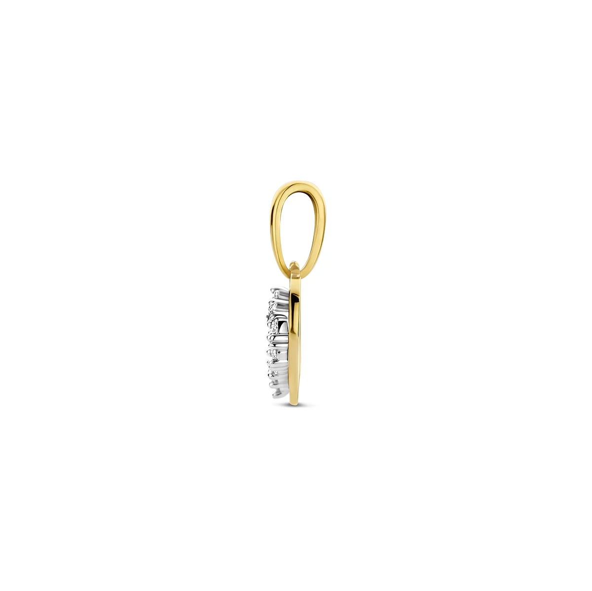 hanger hart zirkonia 14K bicolor goud geel/wit