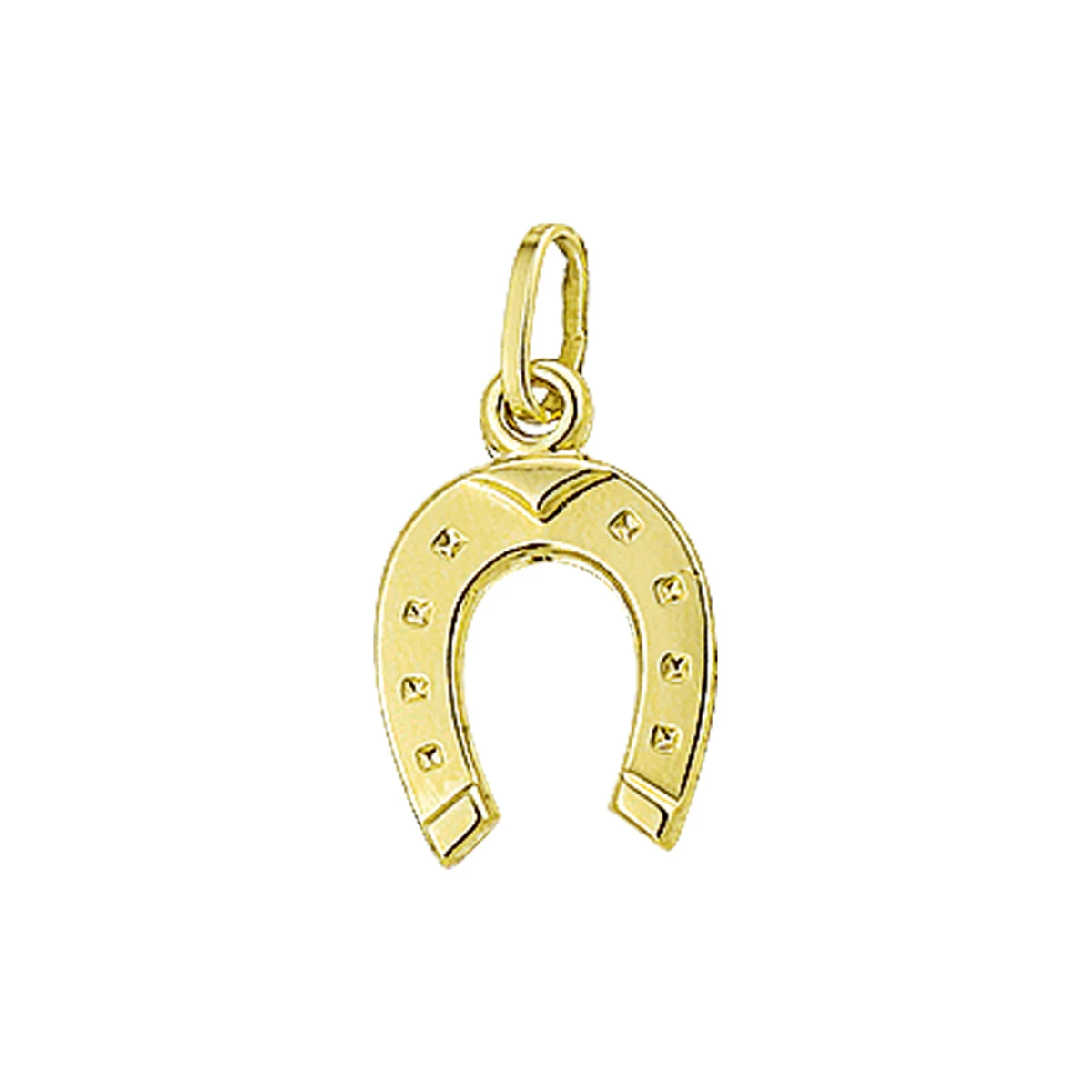 hanger hoefijzer 14K geelgoud