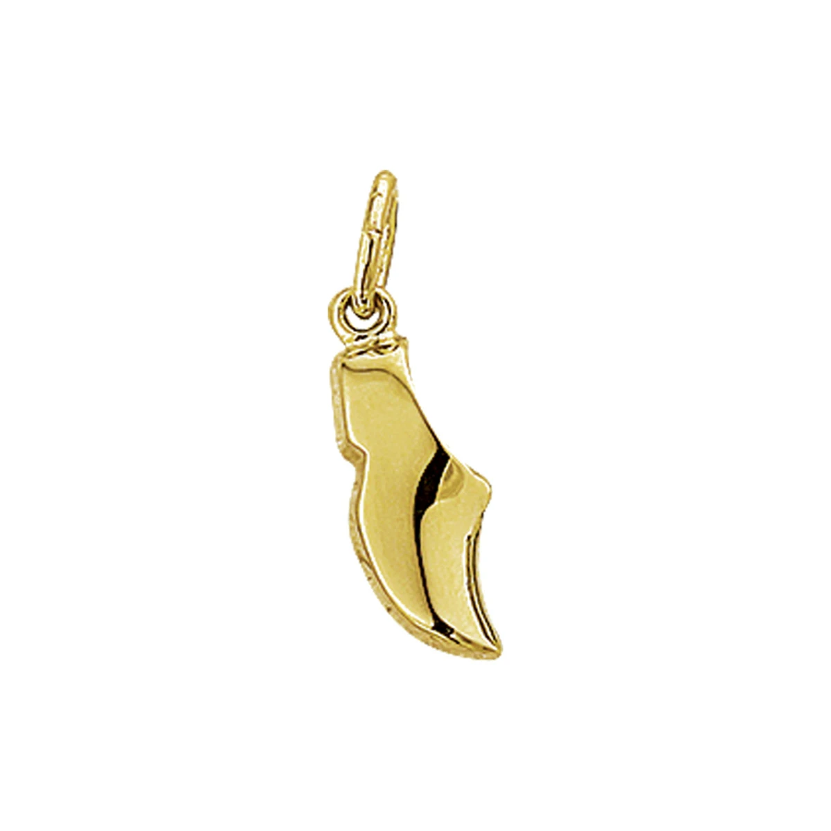 hanger klomp 14K geelgoud