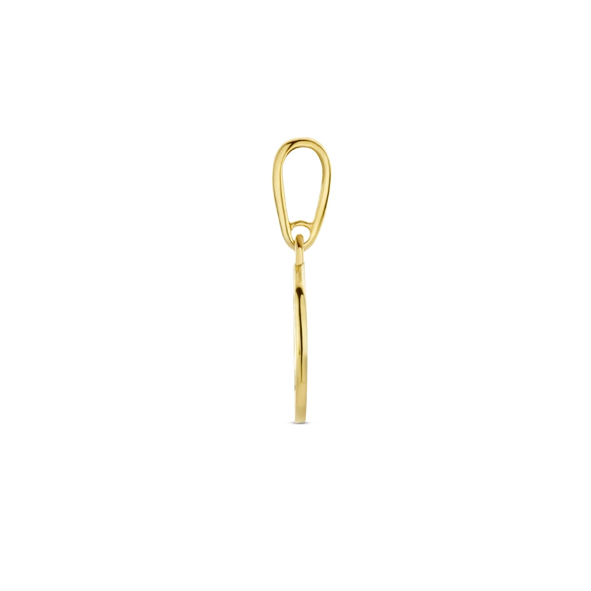 hanger kompas 14K geelgoud