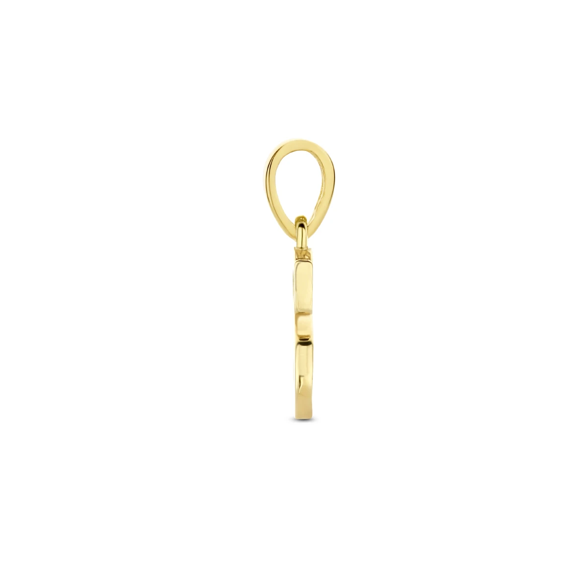 hanger letter zirkonia 14K geelgoud