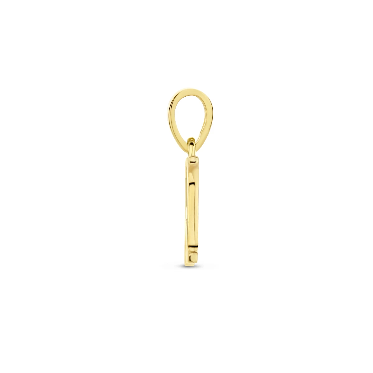 hanger letter zirkonia 14K geelgoud