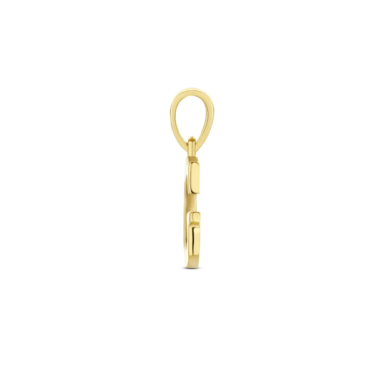 hanger letter zirkonia 14K geelgoud