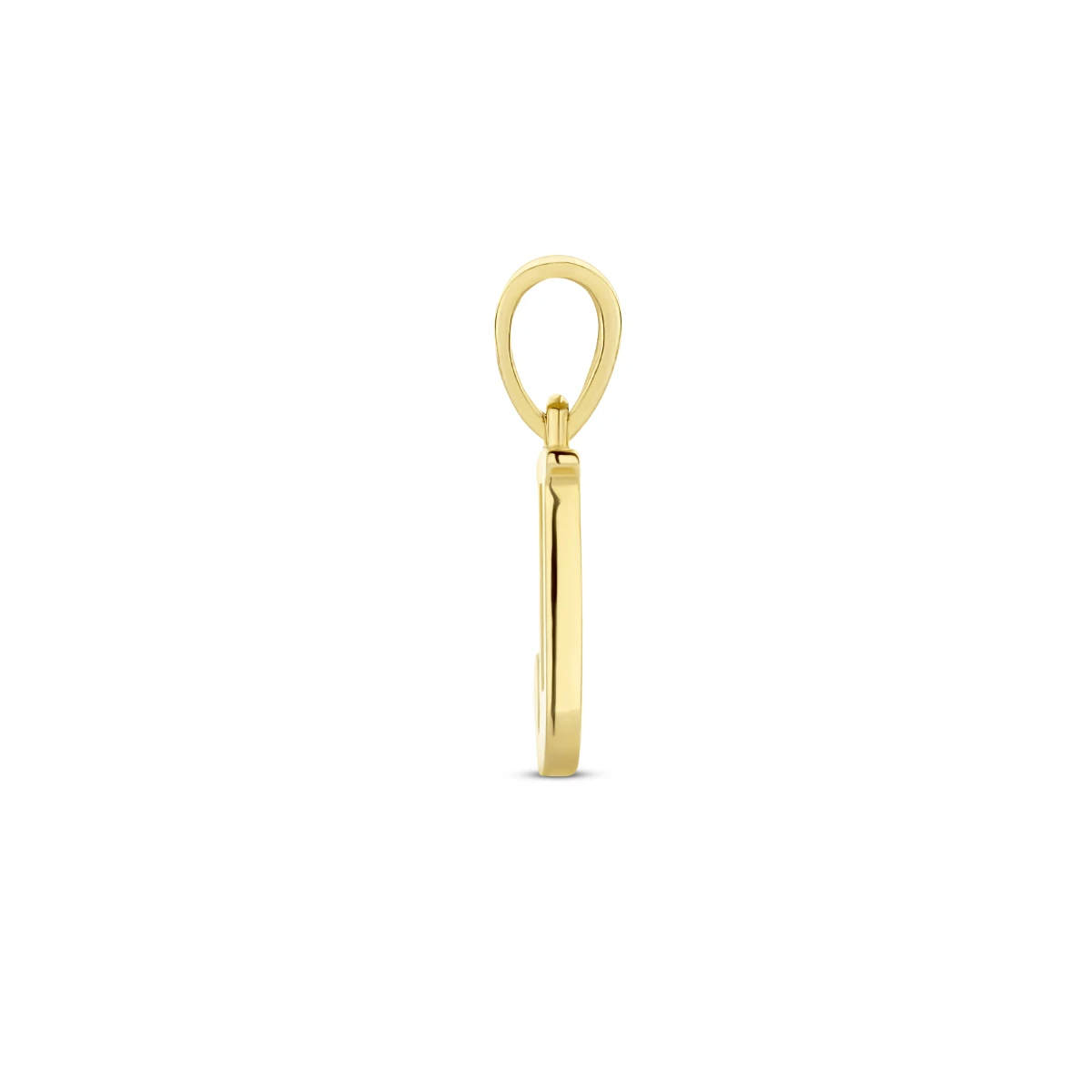 hanger letter zirkonia 14K geelgoud