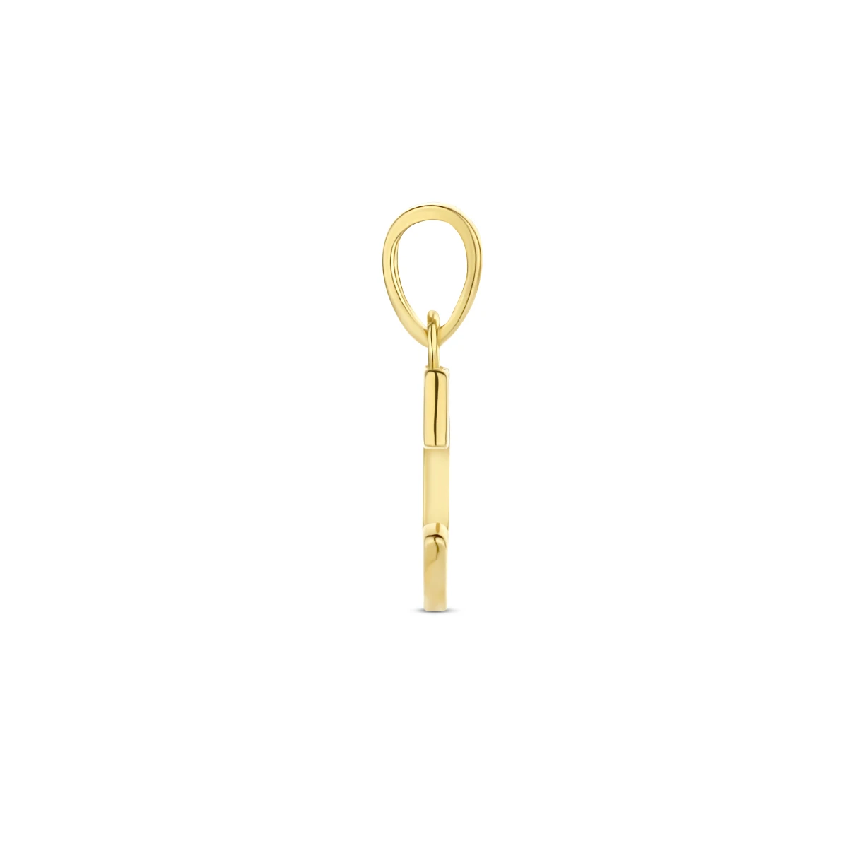 hanger letter zirkonia 14K geelgoud